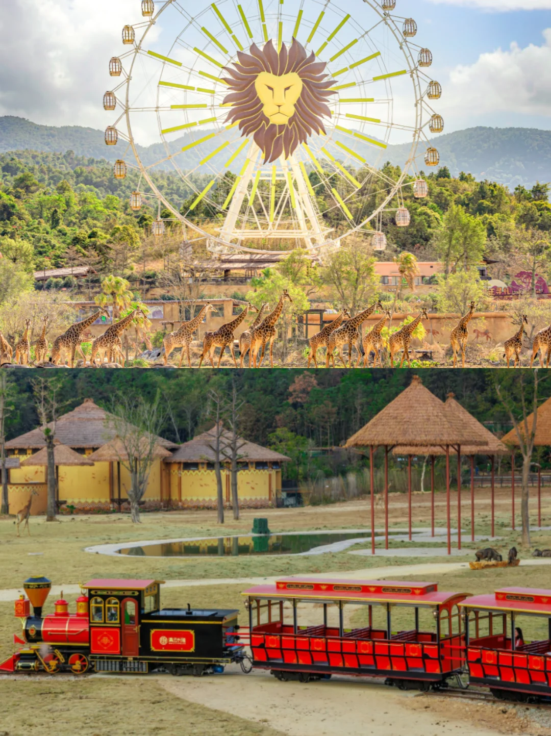 来清远长隆为什么推荐住长颈鹿城堡酒店？