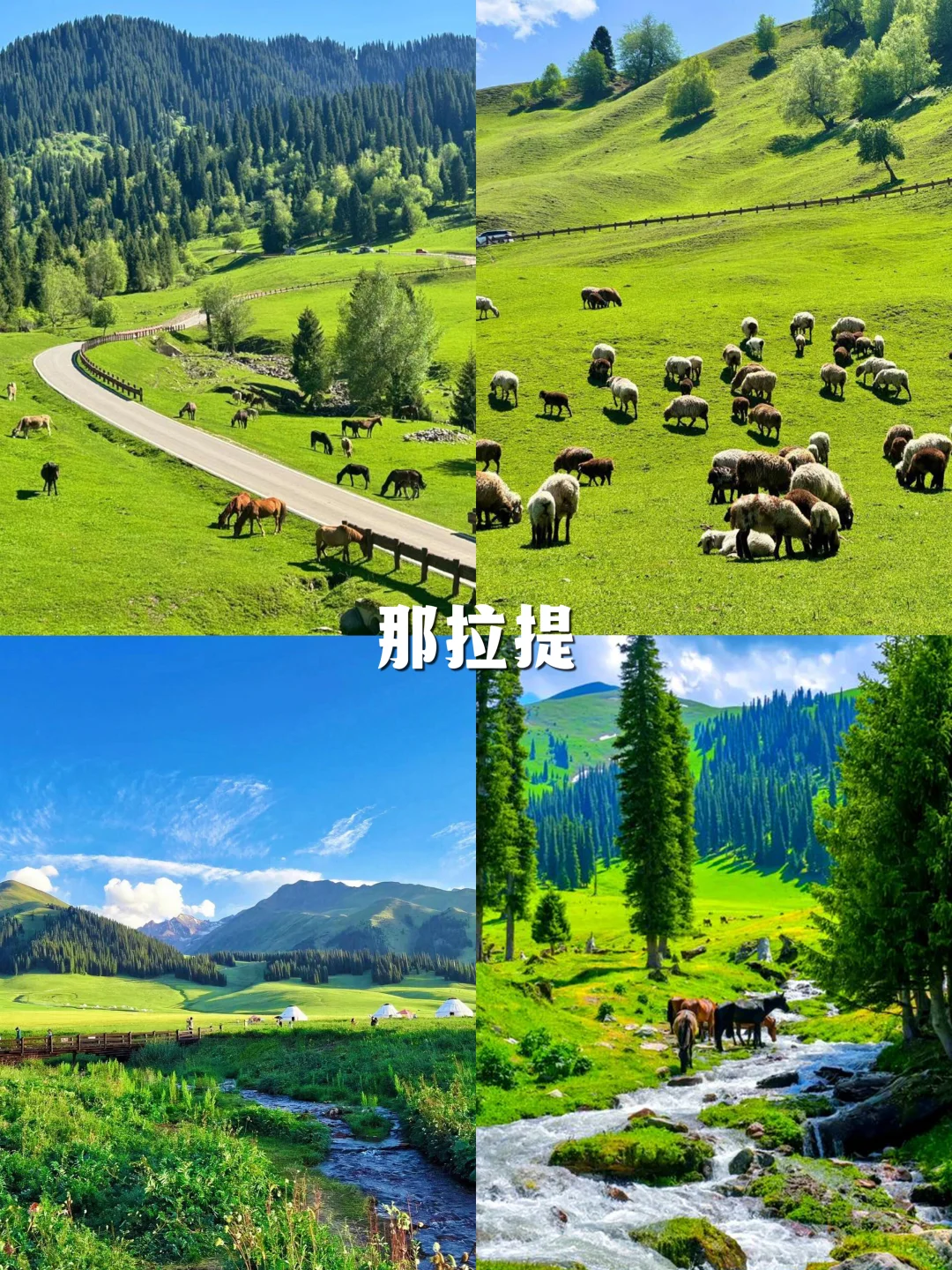 新疆必去的12大景点，都去过才算圆满🔥