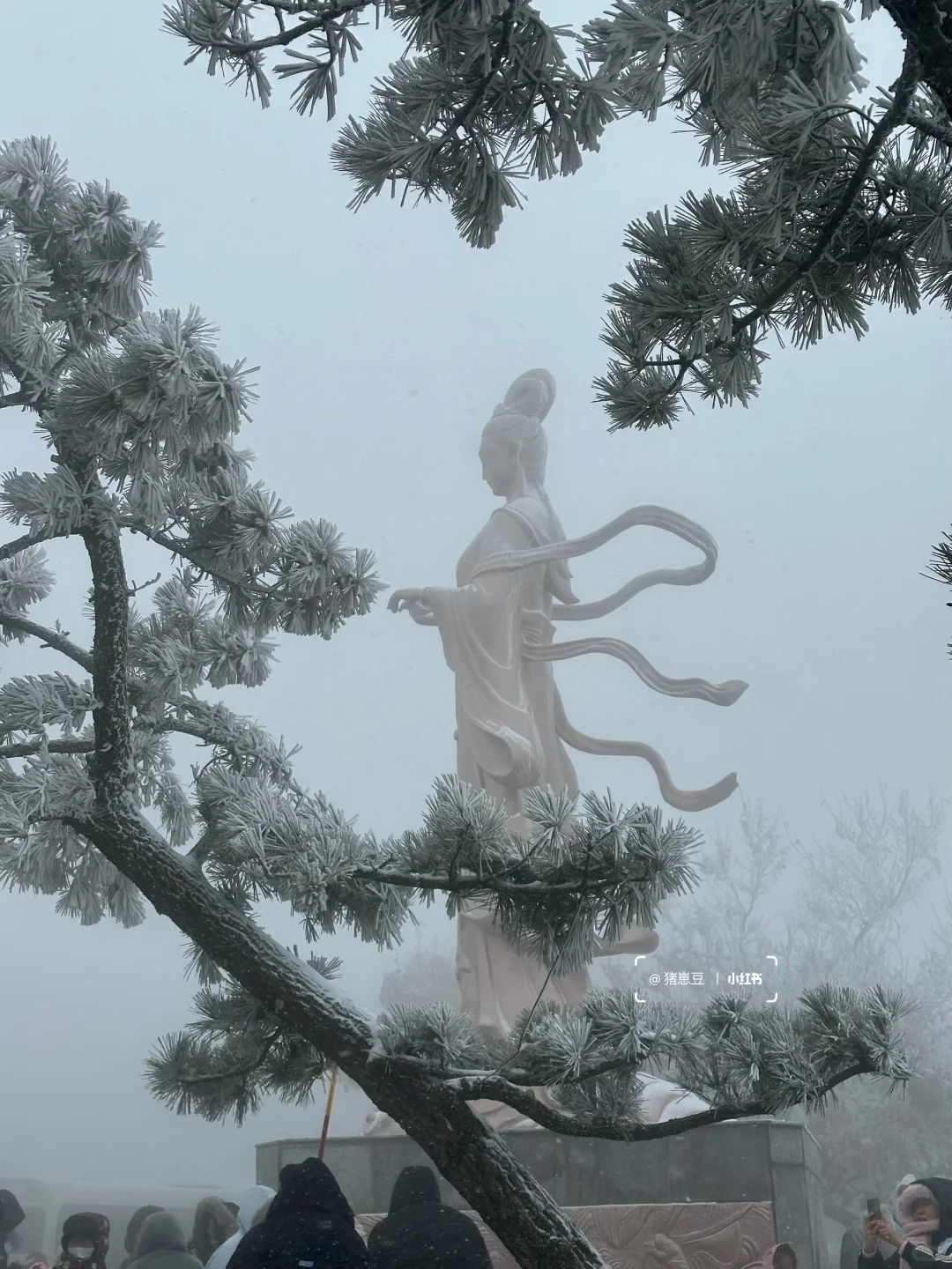 12🈷️！冬天的连云港！怎么玩！怎么吃！