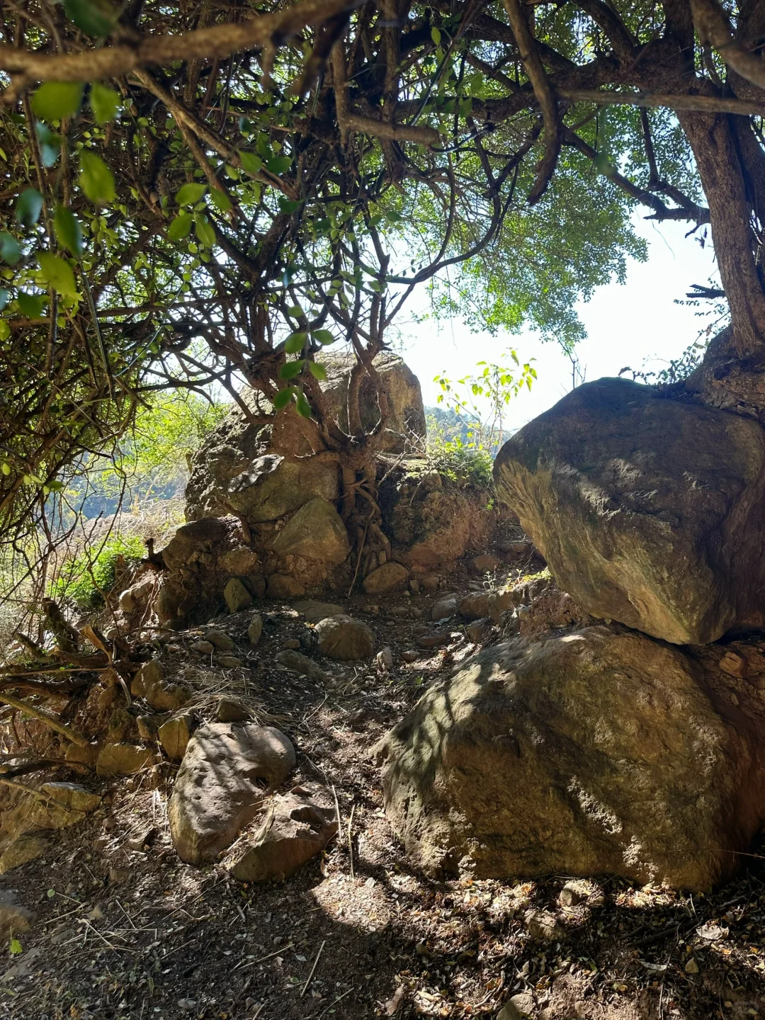 野温泉记|山洞里居然有个野温泉