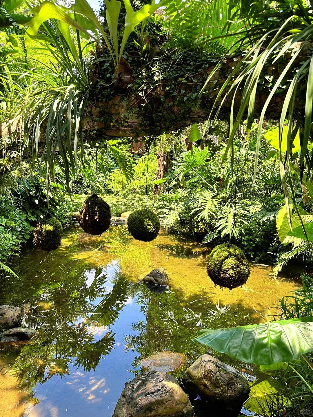 南宁4天怎么玩？