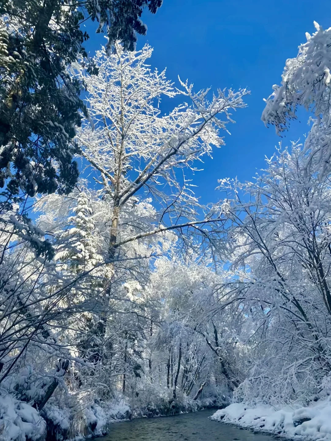 一张图看明白📍长白山玩什么‼️
