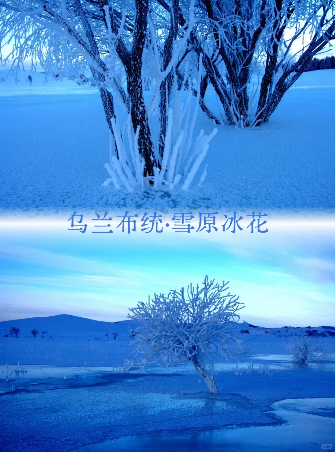 草原美食+纯玩｜乌兰布统攻略