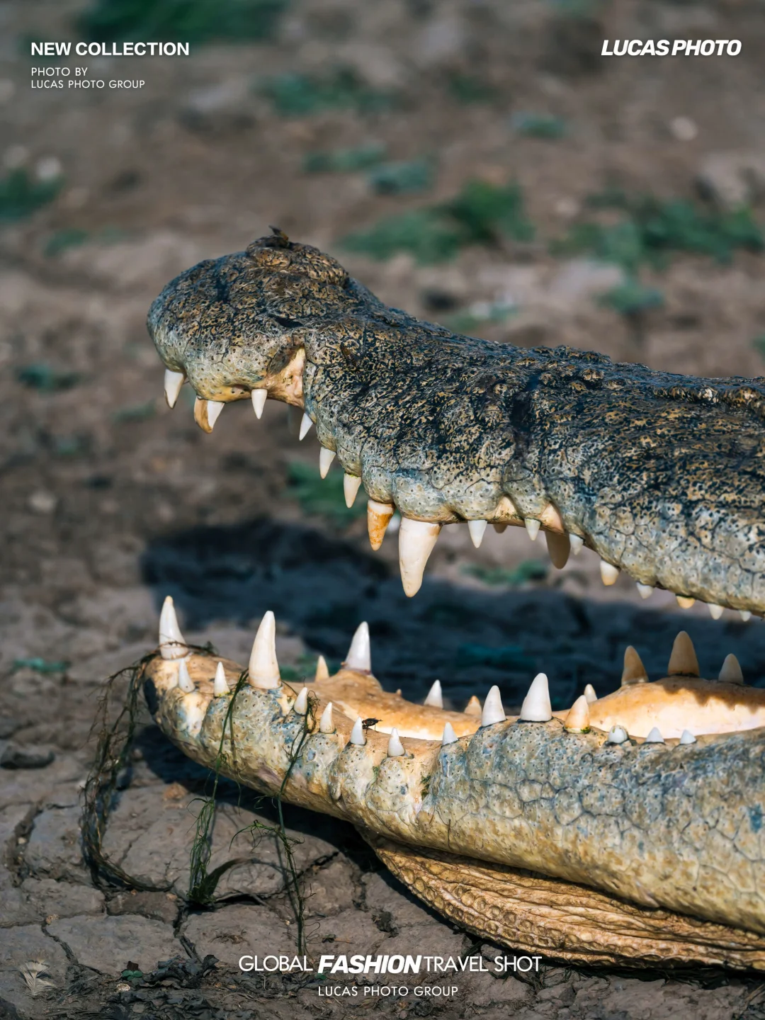 推荐1️⃣个我认为适合跨年过年的冷门城市