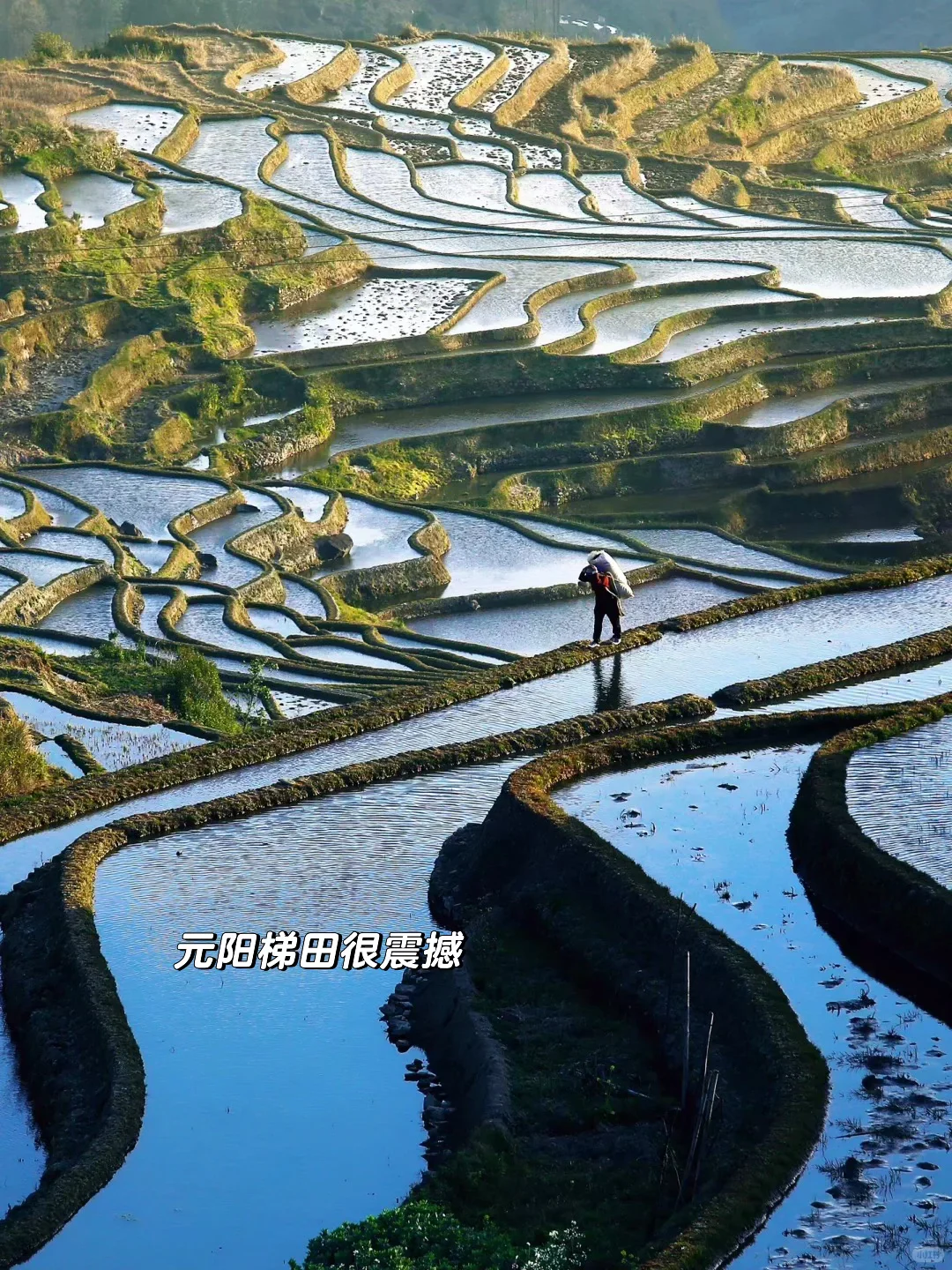 放弃大理了,带爸妈去21°C的弥勒过暖冬☀️