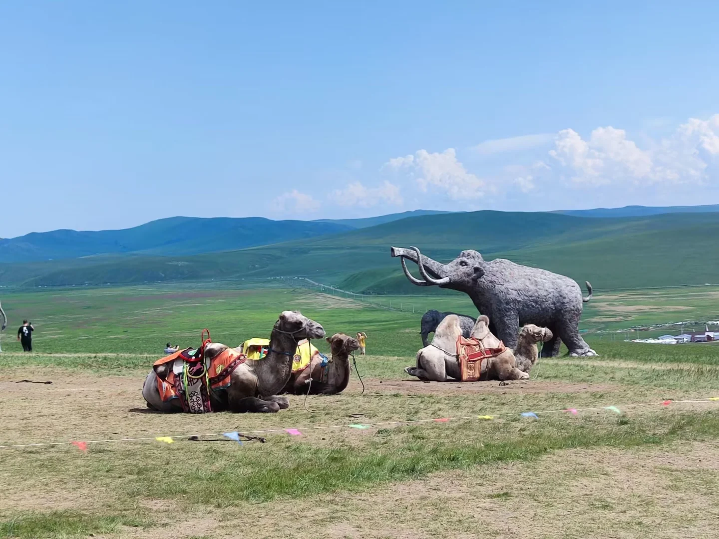 漠河到满洲里旅游攻略必玩的景点选择服务完