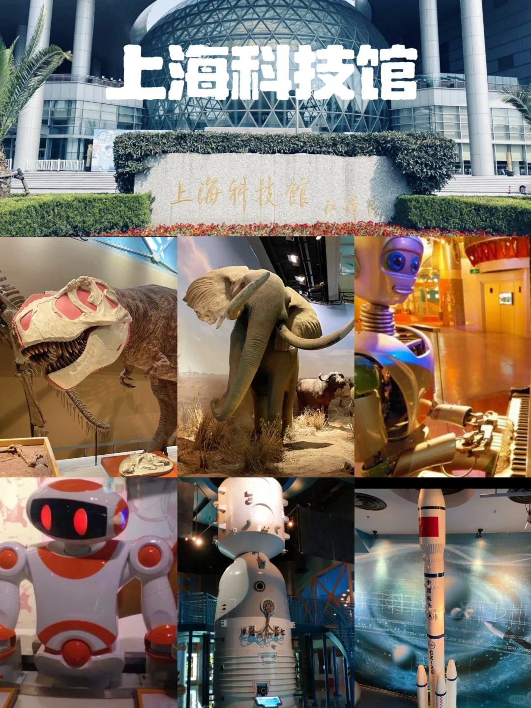 【十大必逛博物馆】🌟带娃必看!暑假旅游必去