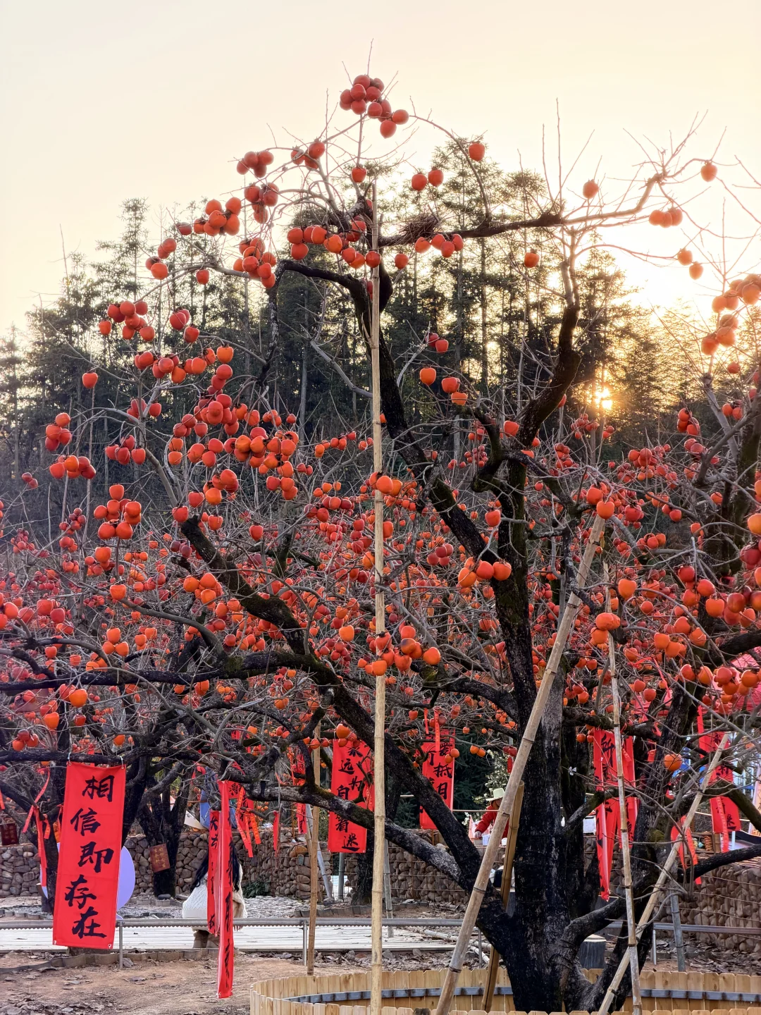 福建文旅，我劝你多宣传宣传古田翠屏湖！超美