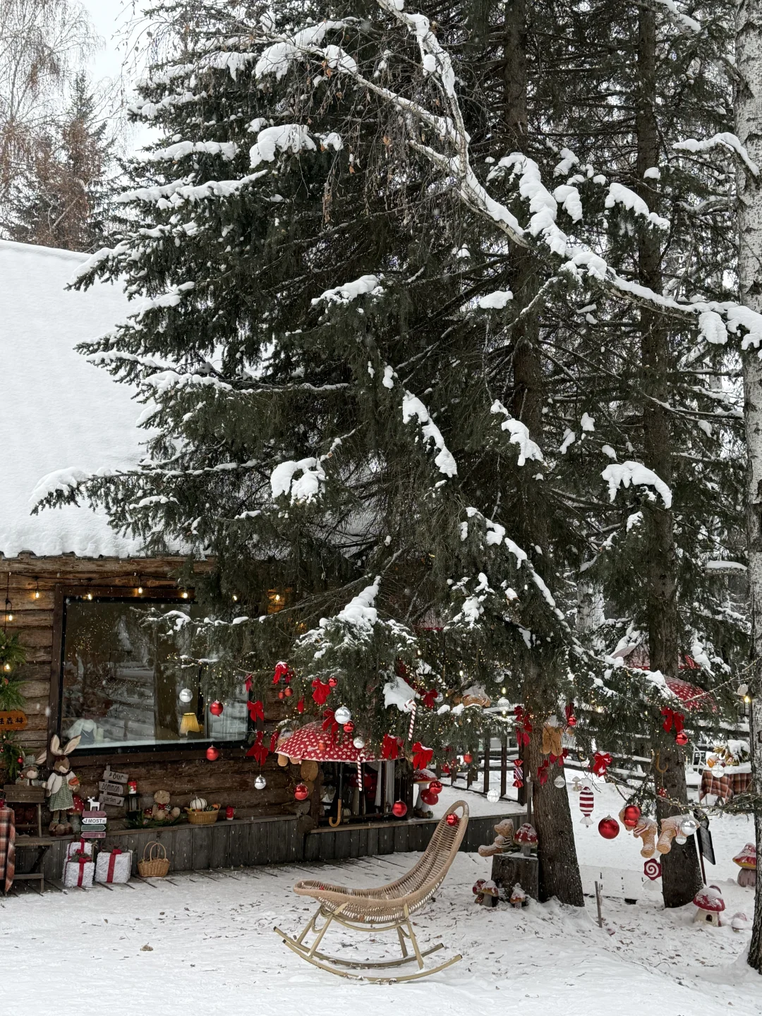 阿勒泰四天三晚旅行攻略 | 禾木&白哈巴☃️