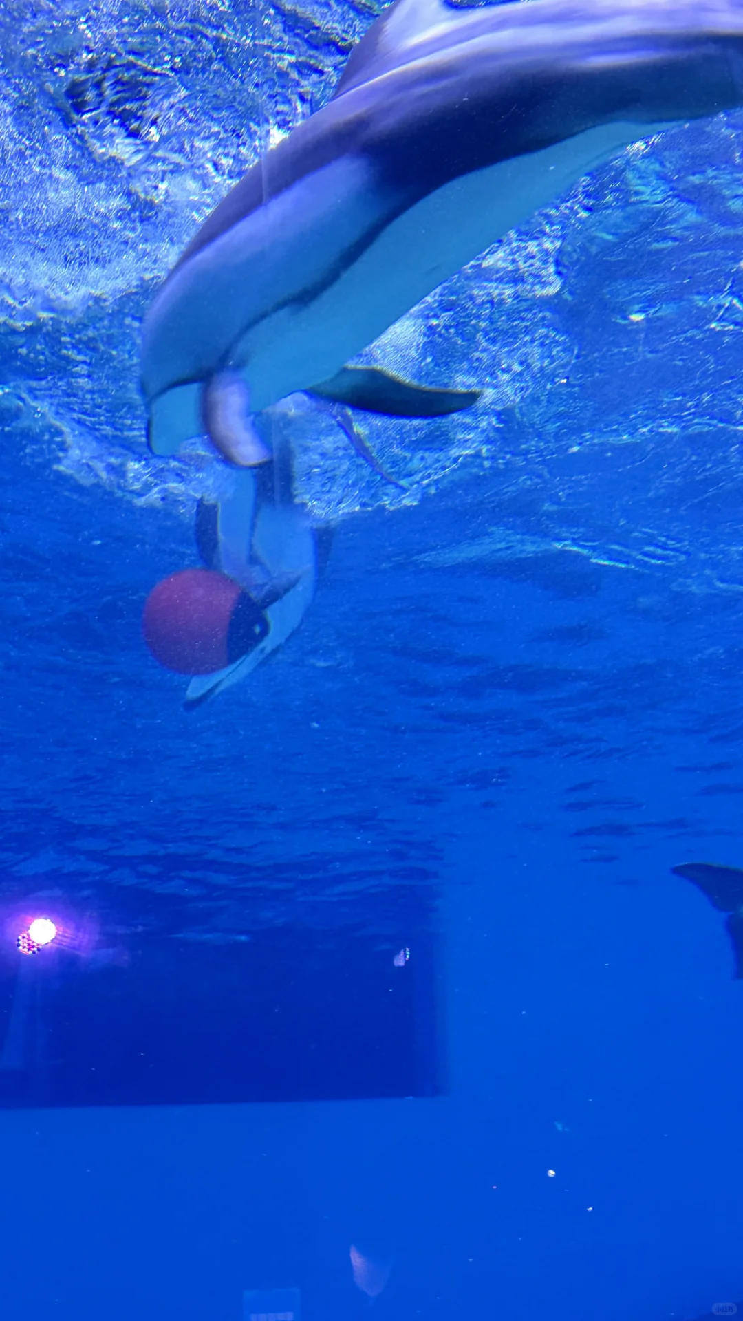 2岁娃长隆飞船乐园,随性游~