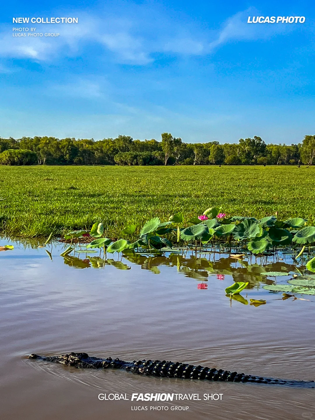 推荐1️⃣个我认为适合跨年过年的冷门城市