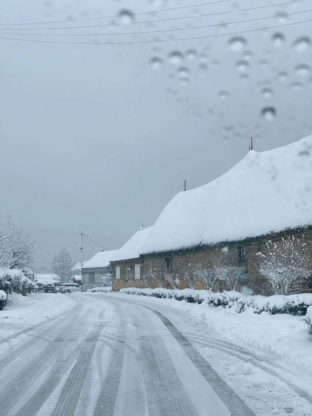 12.3威海实况，雪后的天鹅湖美得像童话❄️