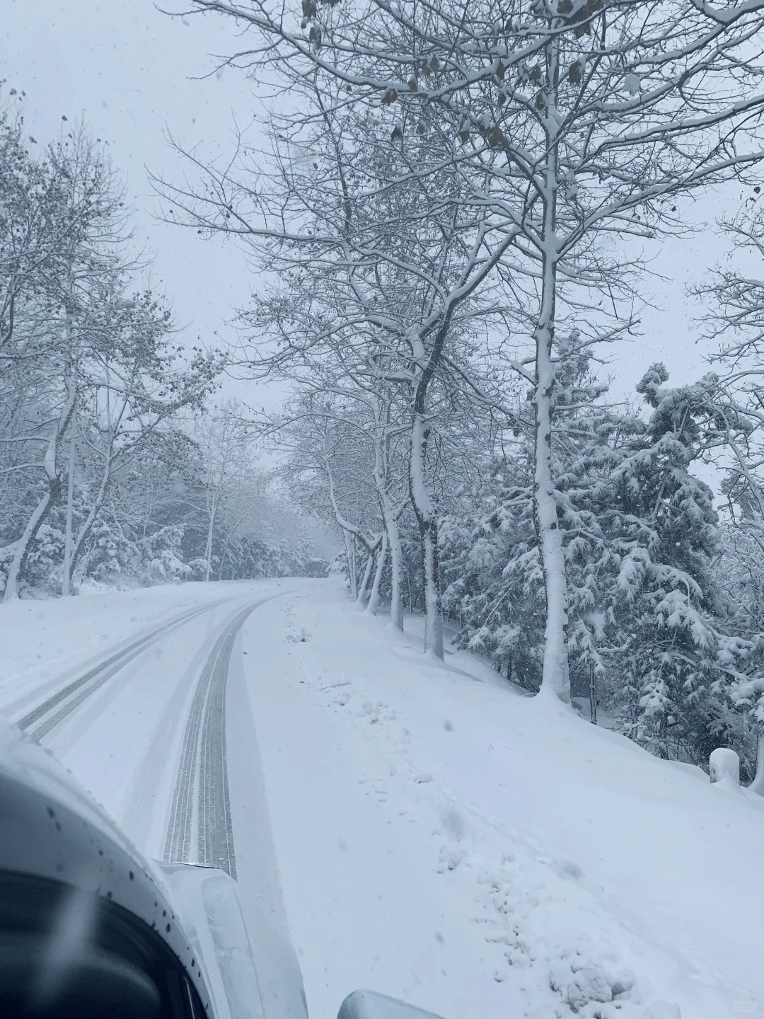 12.3威海实况，雪后的天鹅湖美得像童话❄️