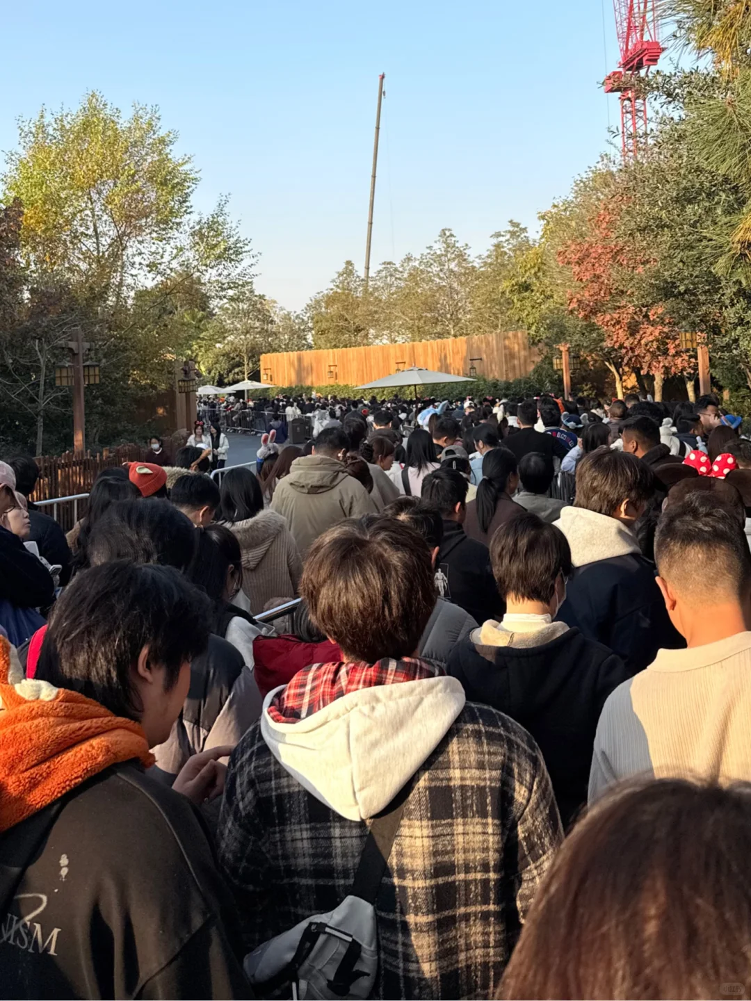 上海迪士尼项目排队小技巧（中高客流必用）