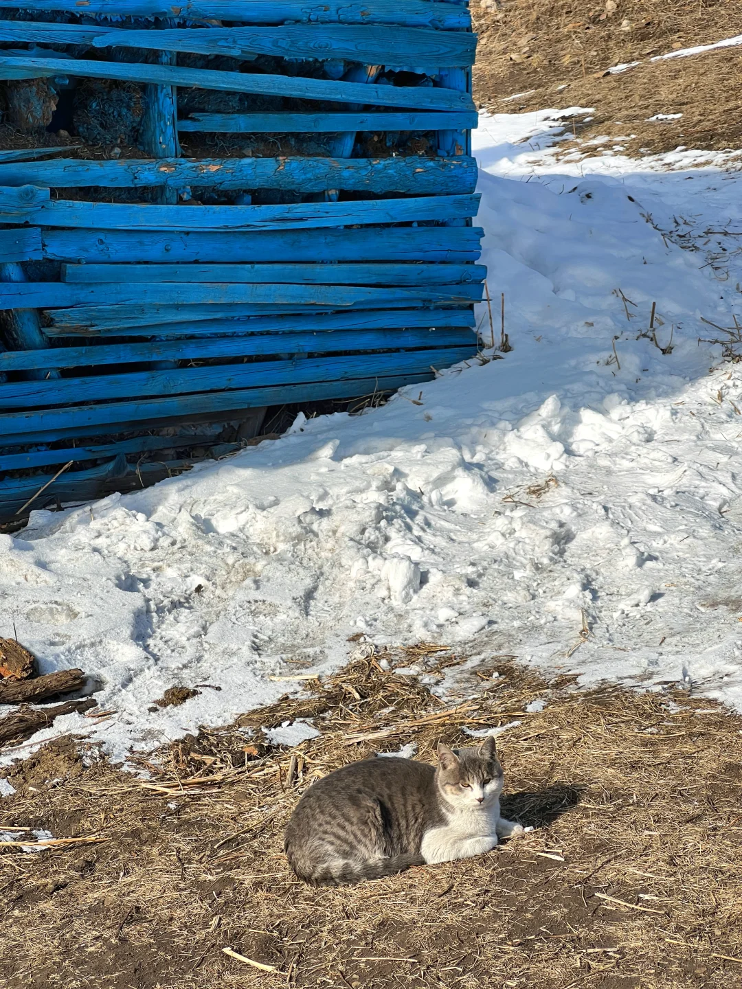 2025 年元旦好去处🎉阿尔山三日保姆级攻略