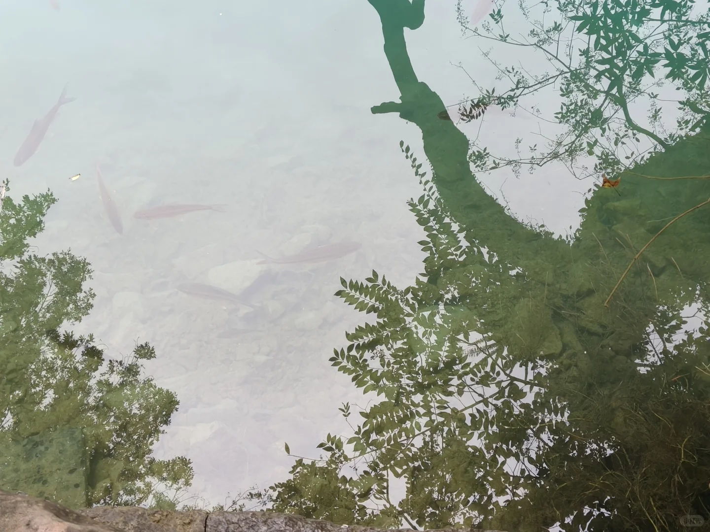 12月淡季小七孔，我发现了最聪明的打开方式