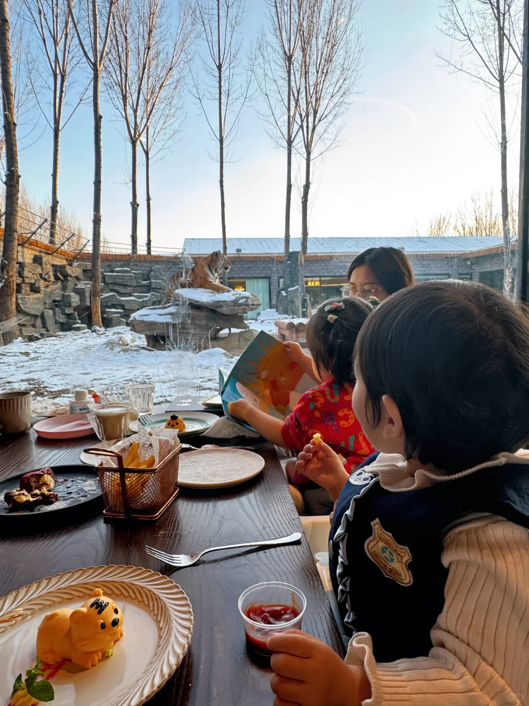 二刷虎乐园,娃玩到天黑不肯回家