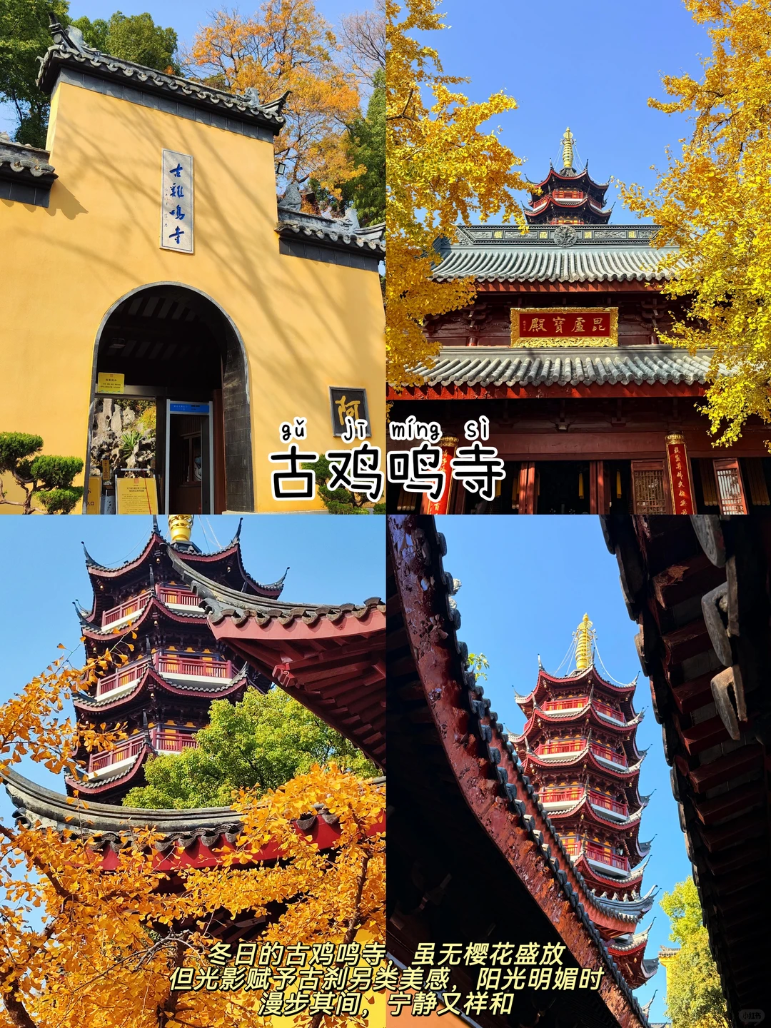 南京📍两日游,懒人版不走回头路逛吃攻略