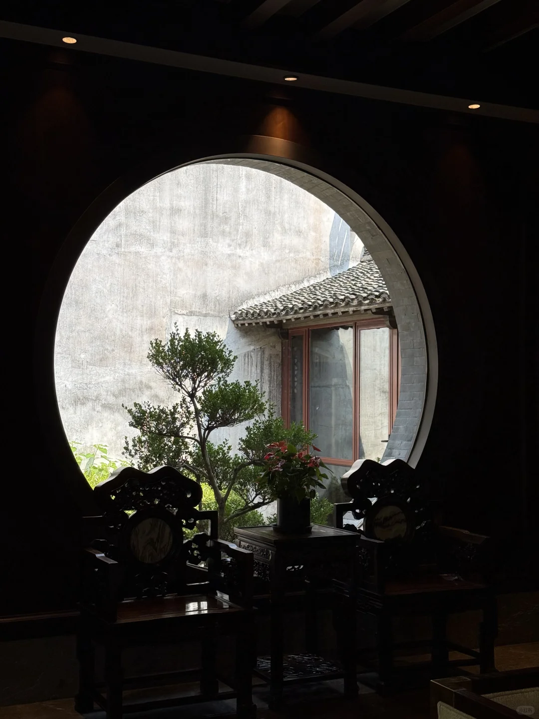 🇲🇾🇨🇳 旅游笔记｜我眼中的乌镇 🍃