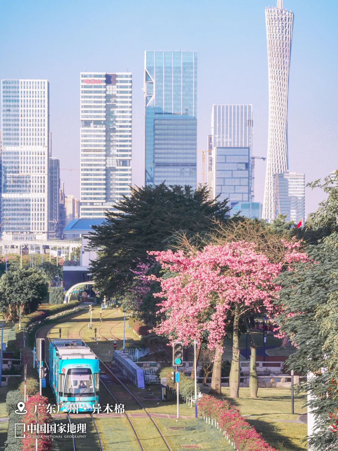 12月最应该去哪里旅行？