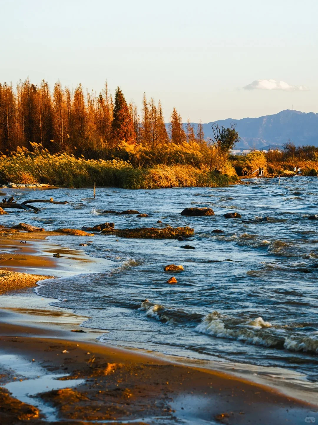 中国12大暖冬目的地❄一起过个20°的冬天