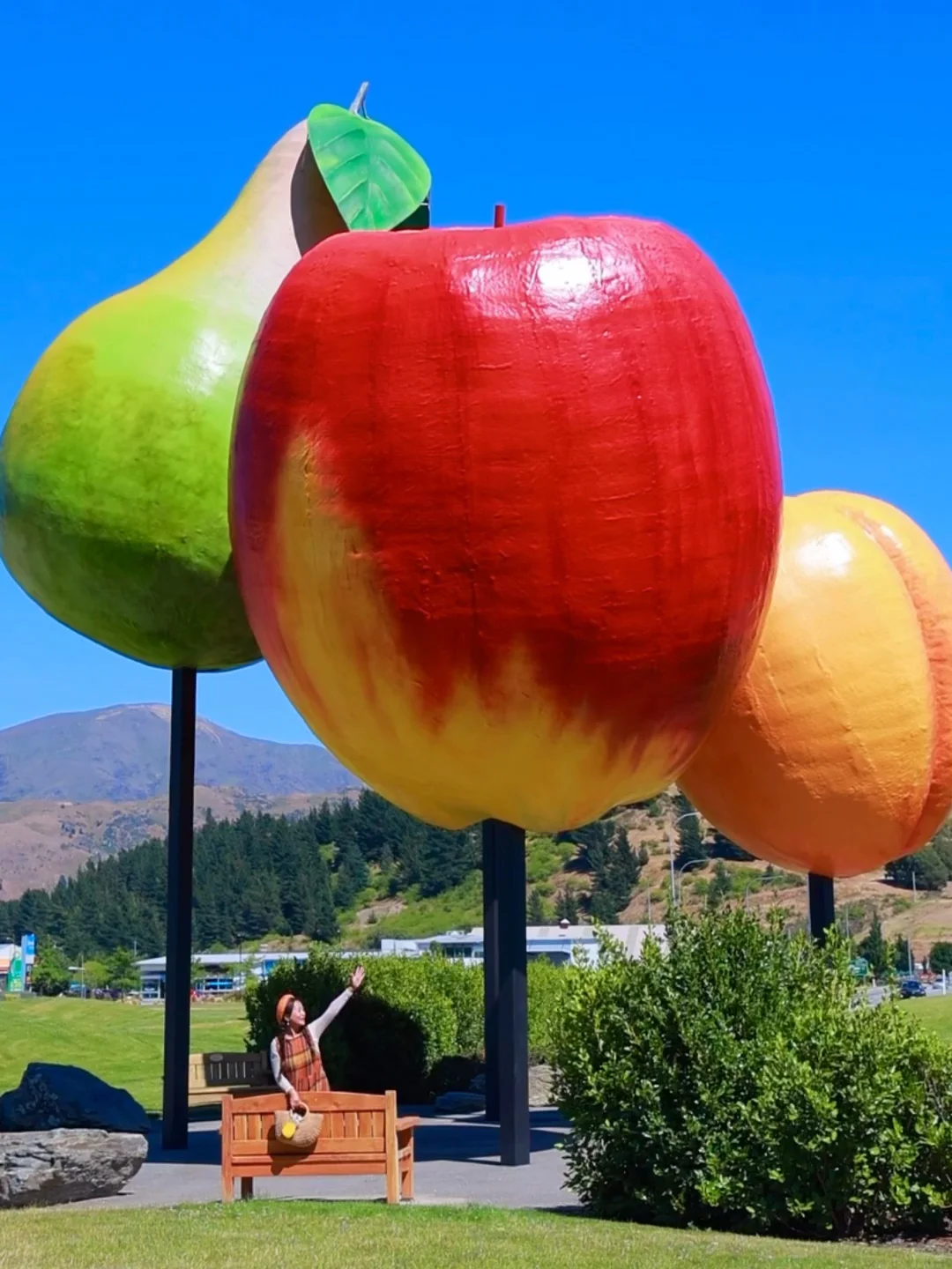 新西兰的每一帧🌈都让live图变得更有意义