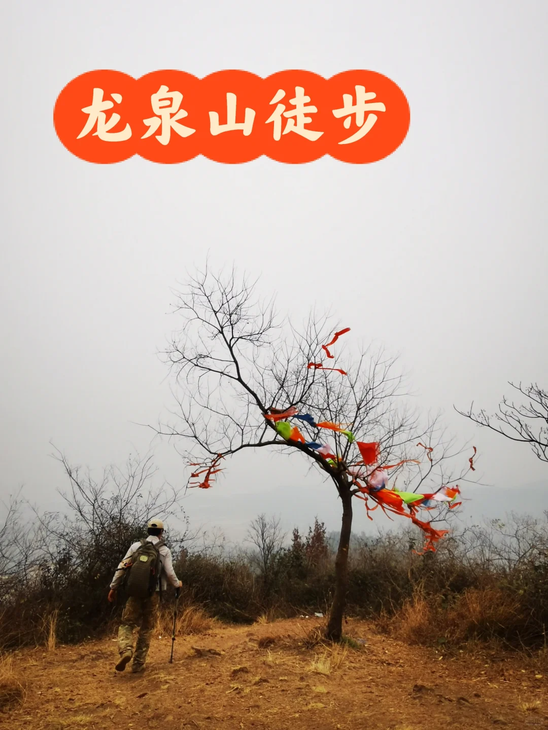 武汉徒步被问爆的小众治愈路线🌿古寺灵树