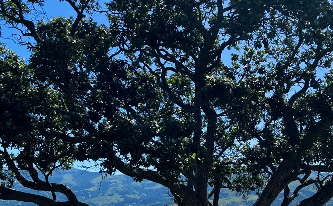 新西兰的每一帧🌈都让live图变得更有意义