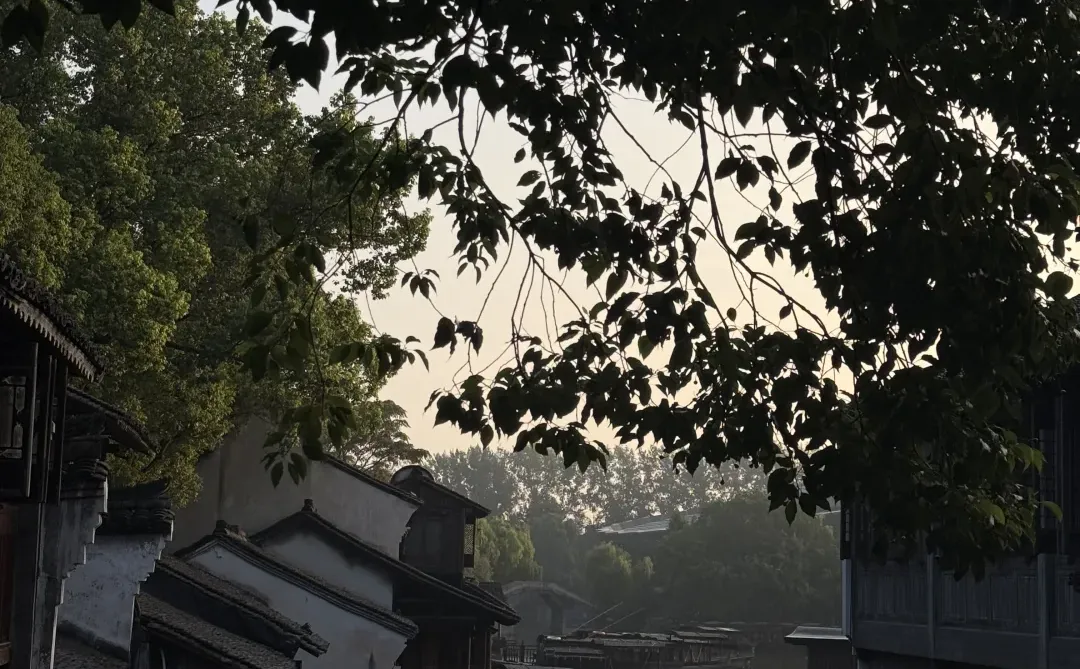 🇲🇾🇨🇳 旅游笔记｜我眼中的乌镇 🍃