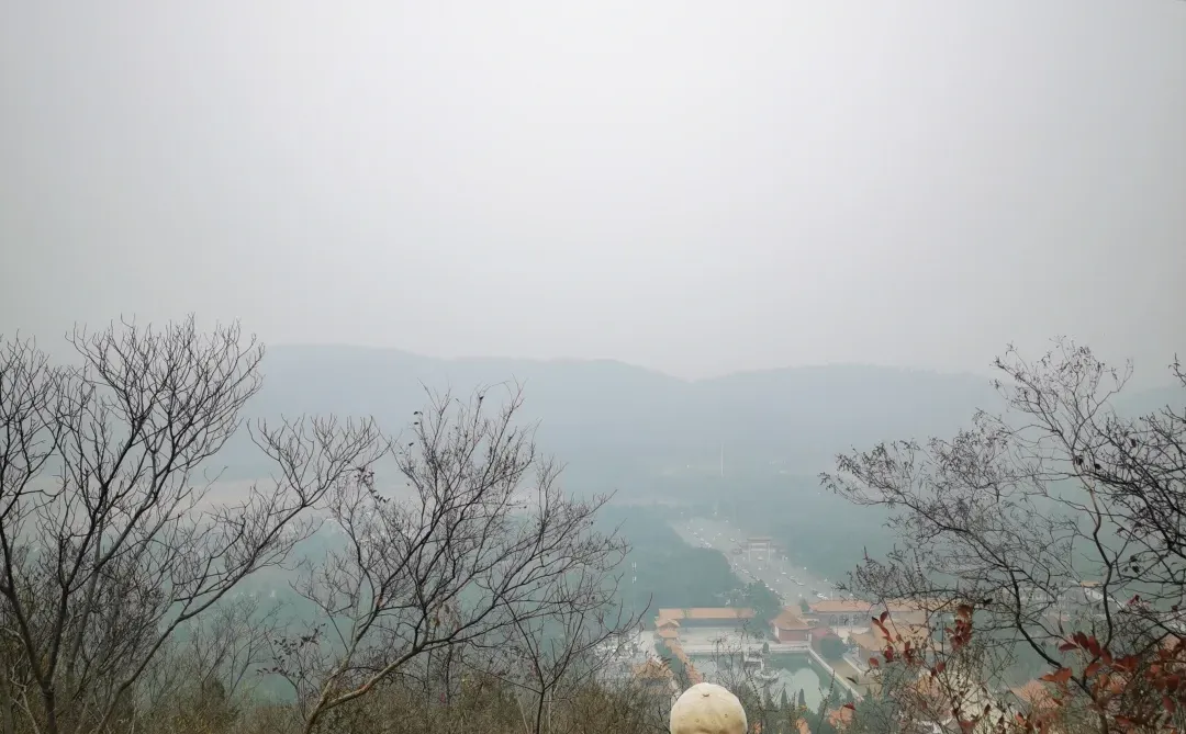 武汉徒步被问爆的小众治愈路线🌿古寺灵树