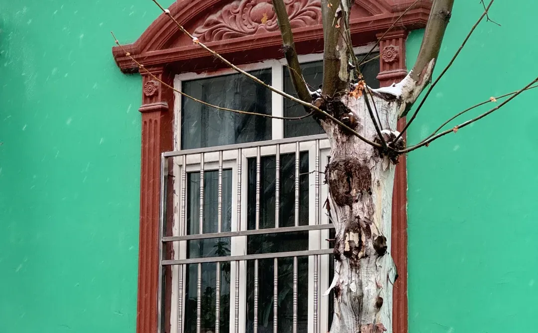 伊宁除了喀赞其你还可以来这里！