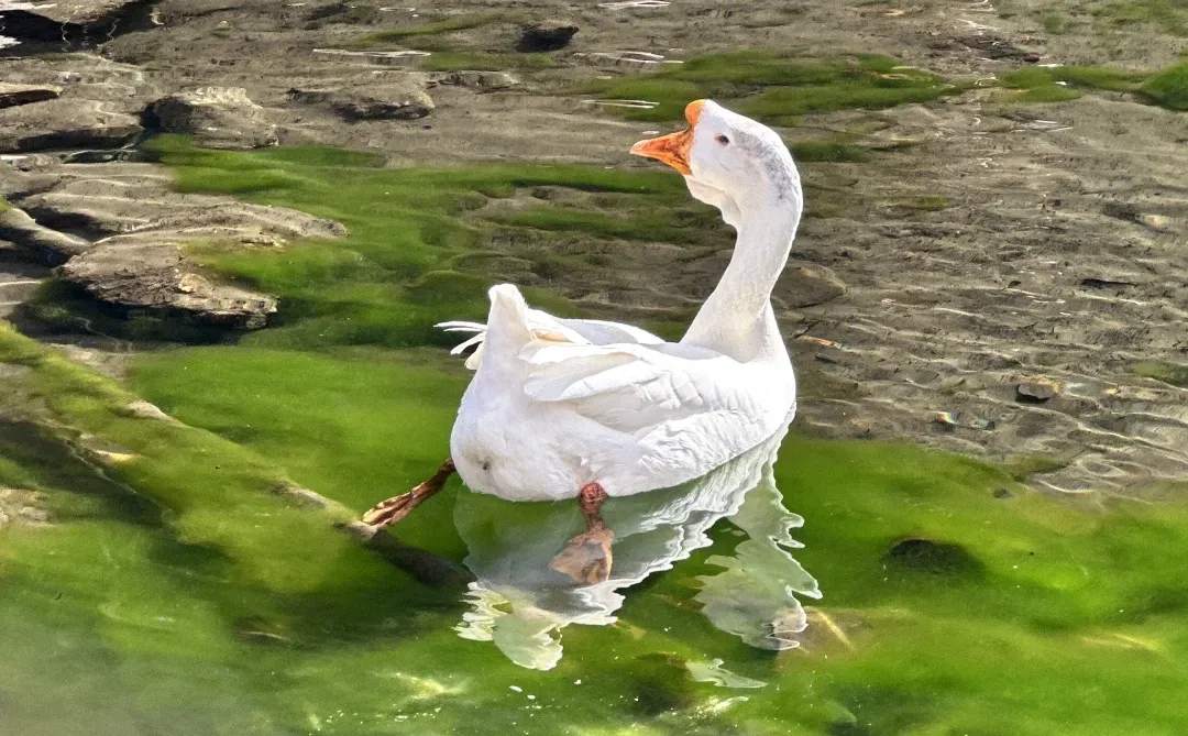 天堂在左👈……雨崩在右👉