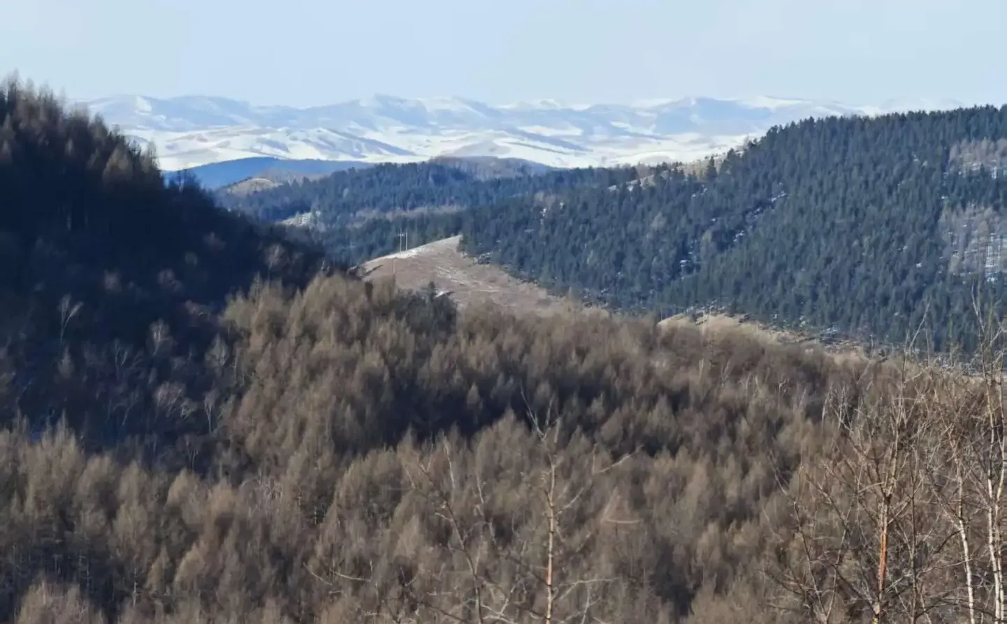 穿入林海，翻过雪原