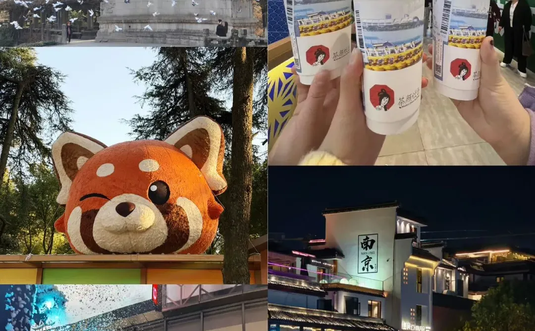 第1️次去南京旅游，千万不要把顺序搞反了