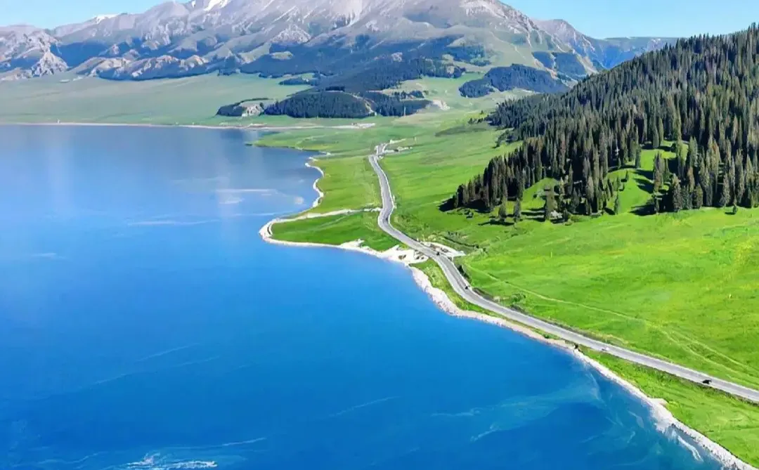 或许这就是你所向往的新疆旅游包车🫰