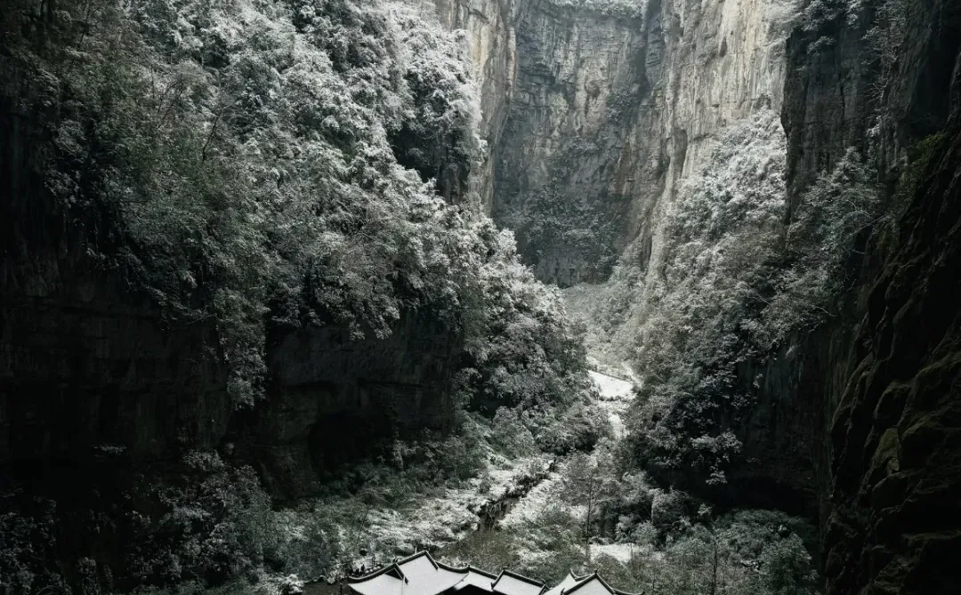 仙女山✘天生三桥 | 玩转冬日雪景+雾凇秘境