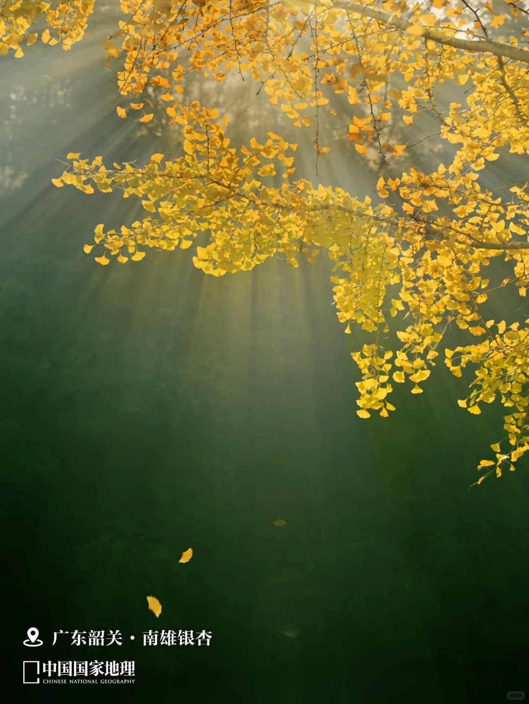 12月最应该去哪里旅行？