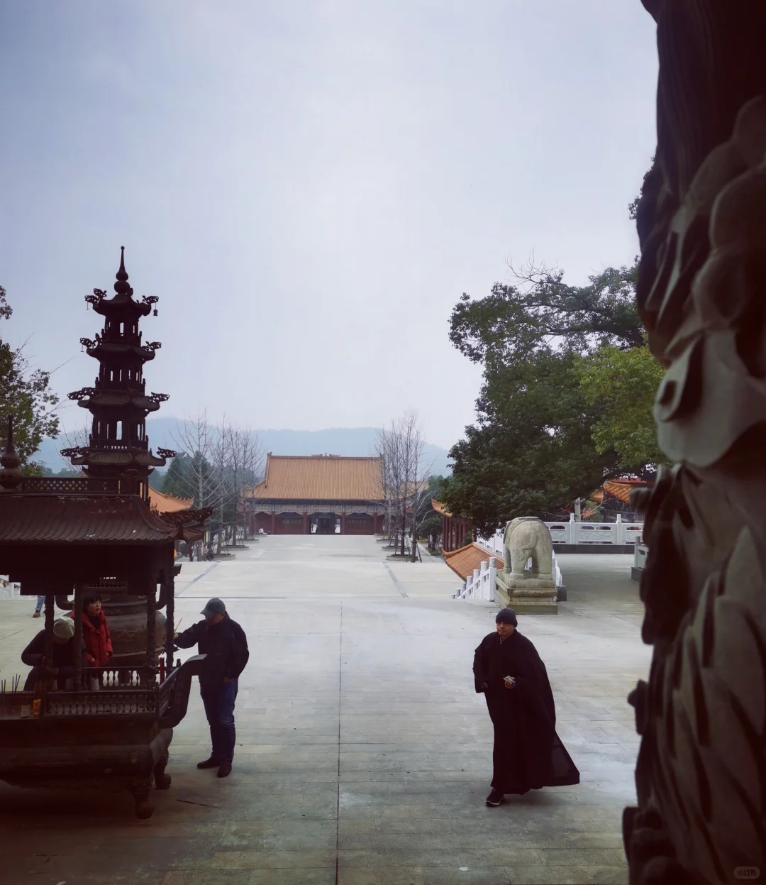 武汉徒步被问爆的小众治愈路线🌿古寺灵树