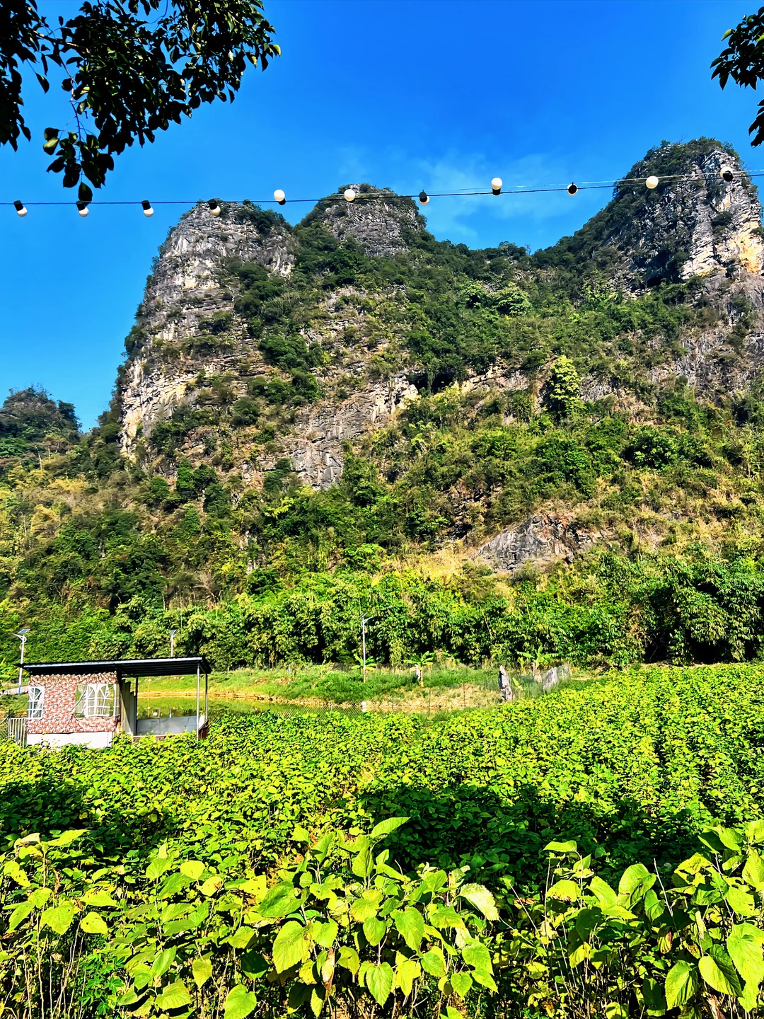 英西峰林私藏！古月山庄把山水画搬进民宿里