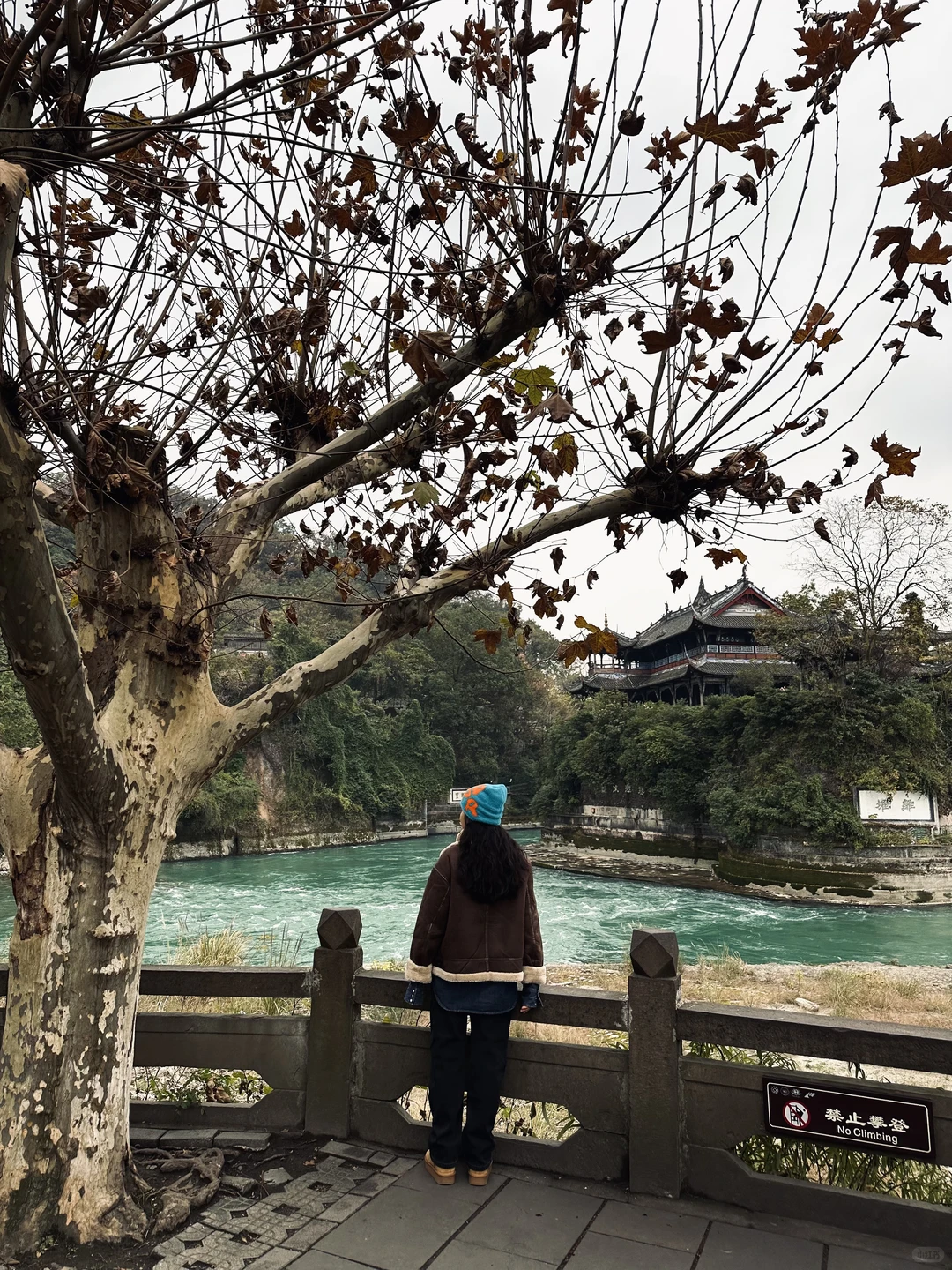 花一个下午去领略都江堰的古韵与自然🍂⛰️