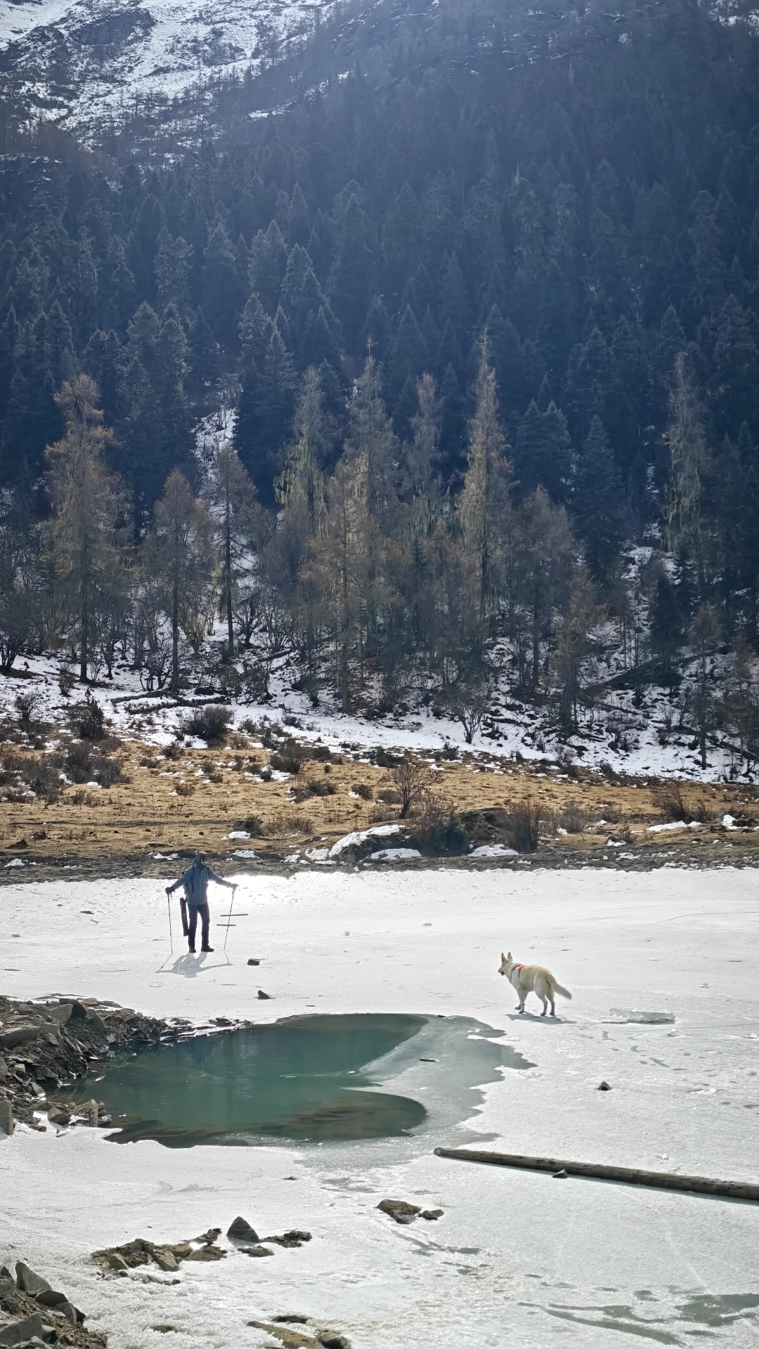 玛嘉沟才是带狗天堂吧