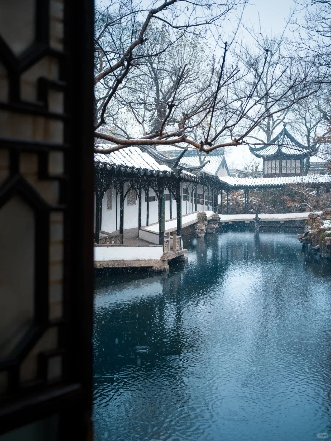 冬日苏杭旅游攻略❄️四天三晚淡季超值游❗