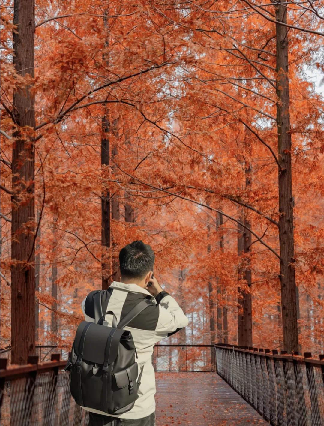 美到失语‼️我在初冬的盐城找到了童话森林
