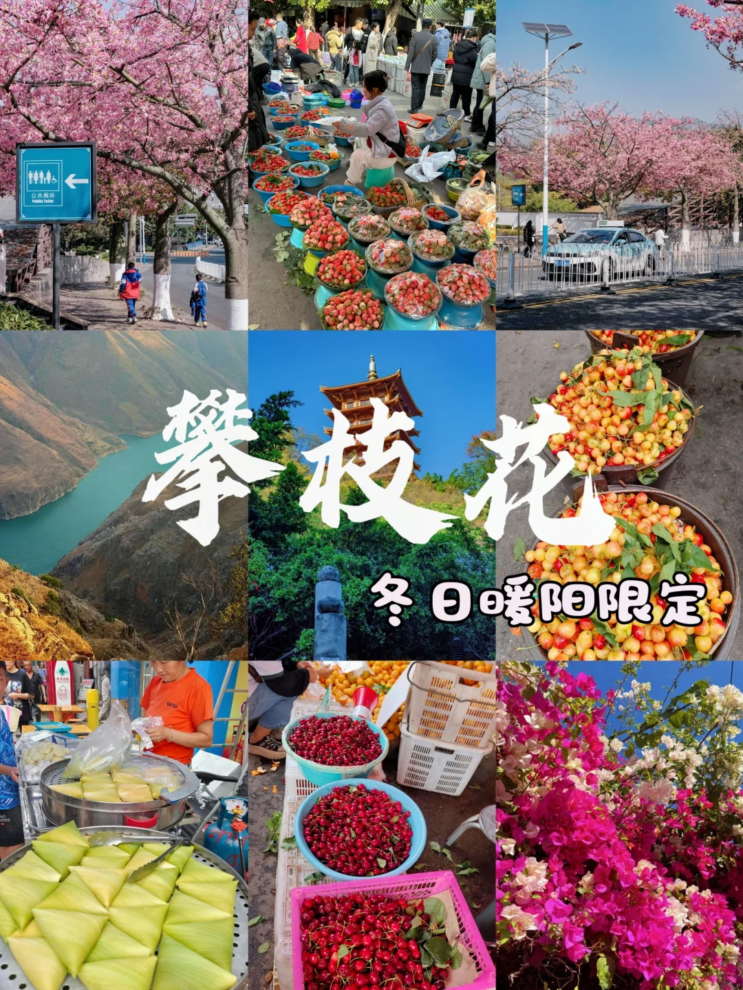 春节特辑:🌸攀枝花西昌米易5日游-冬季版