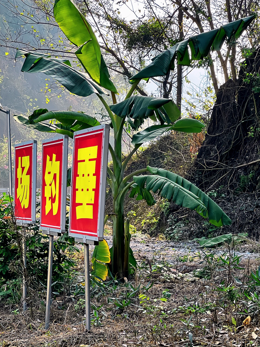 英西峰林私藏！古月山庄把山水画搬进民宿里
