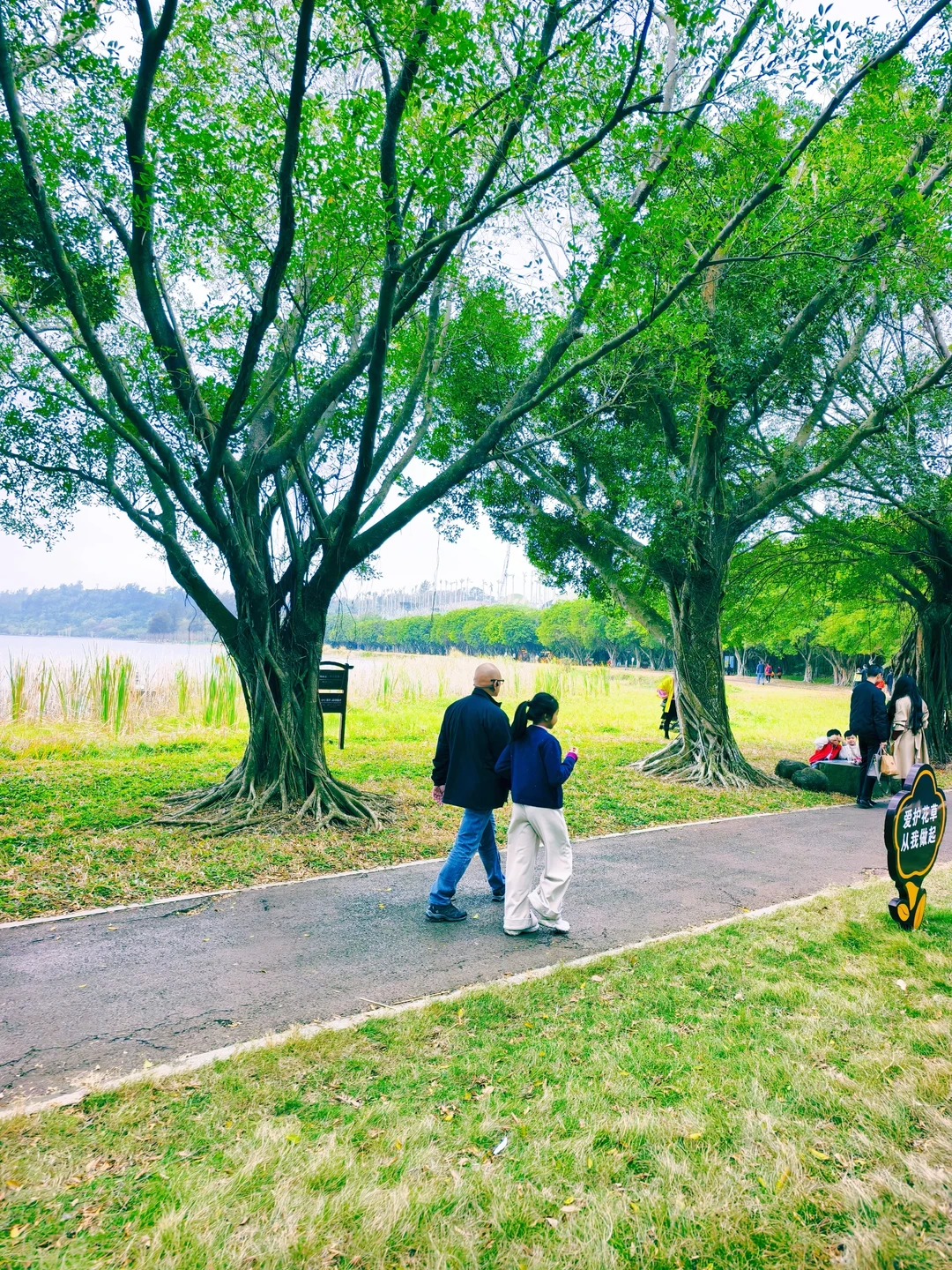 以为珠海很美了,直到我来了湛江