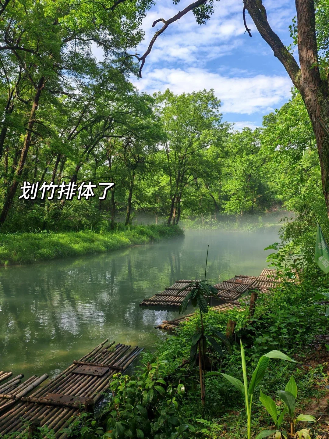 为了这国内唯一古银杏村,也要去一次腾冲‼️