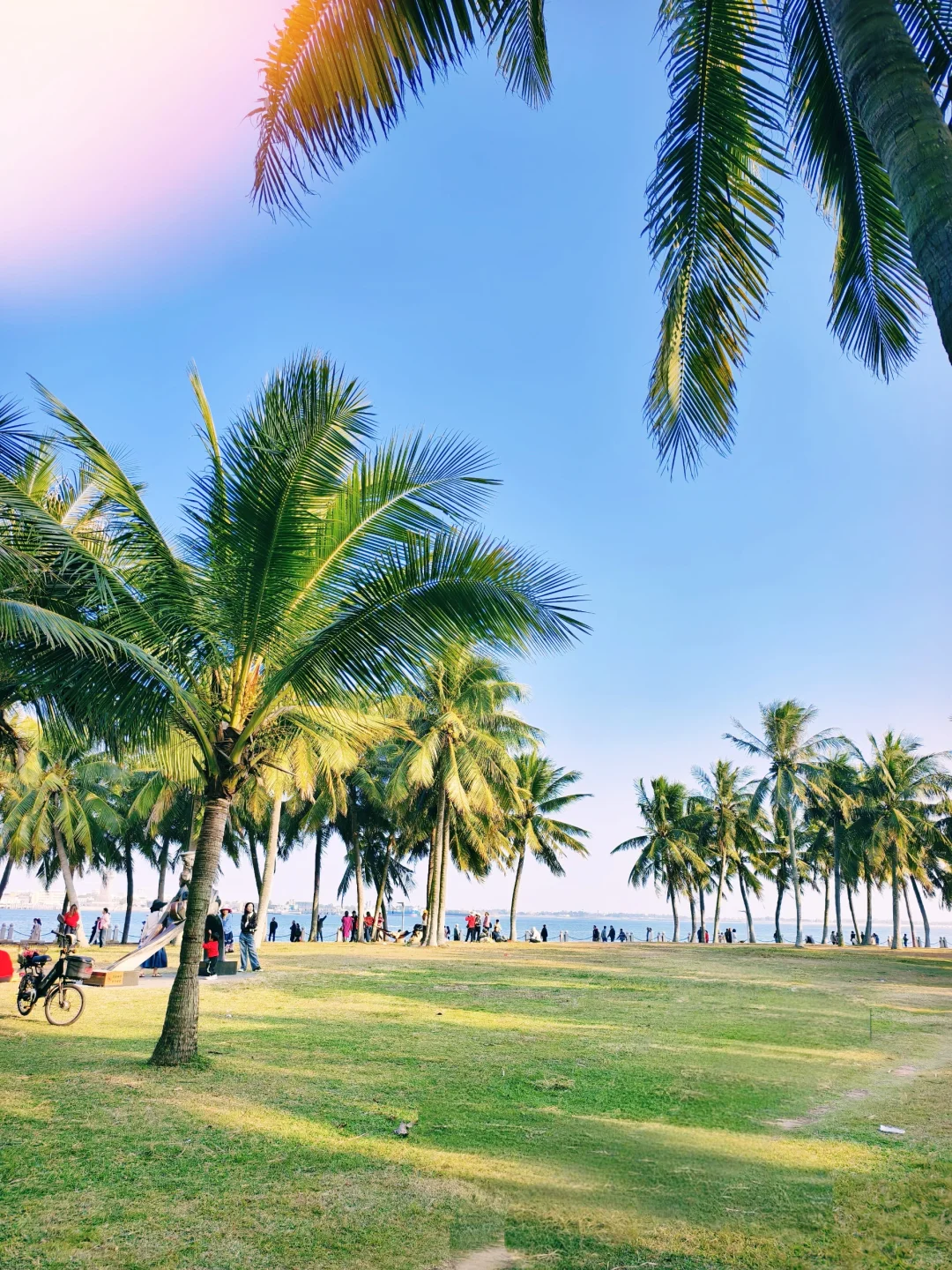 以为珠海很美了,直到我来了湛江