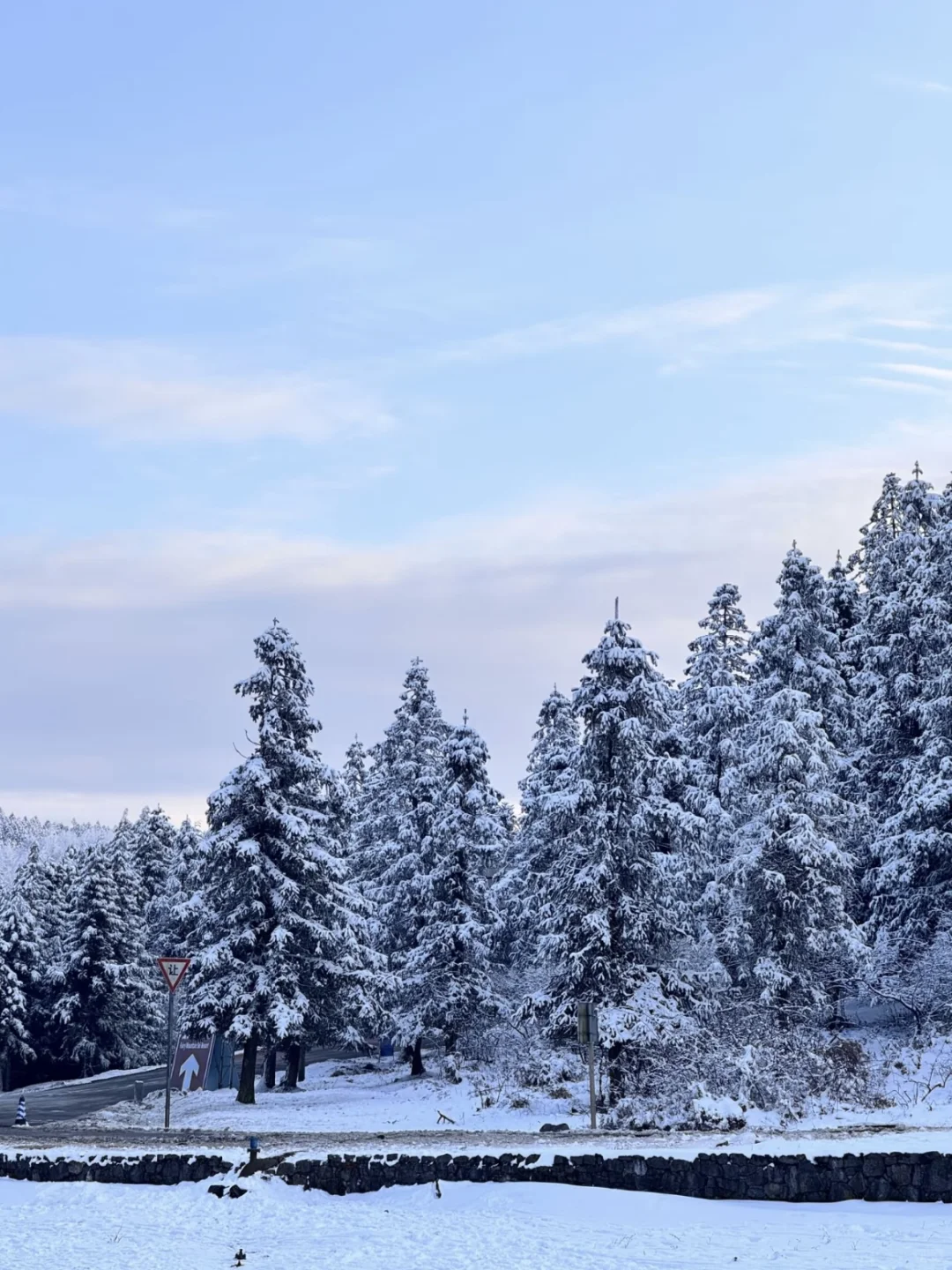 仙女山✘天生三桥 | 玩转冬日雪景+雾凇秘境