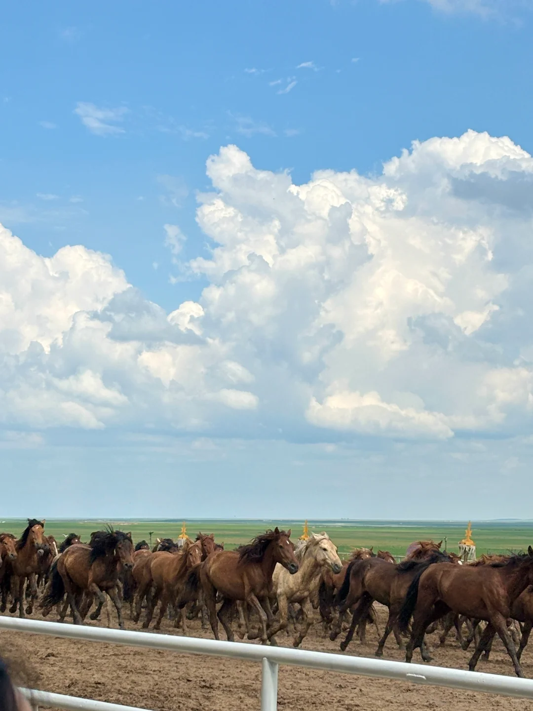 夏天总要去一次大草原吧🐎